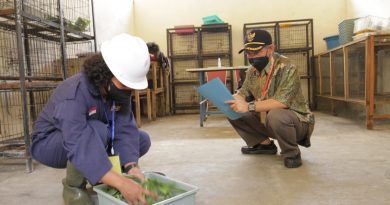 Tingkatkan Kompetensi Alumni, Fakultas Peternakan Unikama Gelar Uji Kompetensi Tingkatkan Kompetensi Alumni, Fakultas Peternakan Unikama Gelar Uji Kompetensi