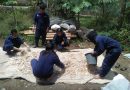 KAMPUS DI MALANG – Pelatihan Budidaya Kambing Domba – Fakultas Peternakan Universitas PGRI Kanjuruhan Malang